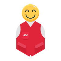 ace manager
